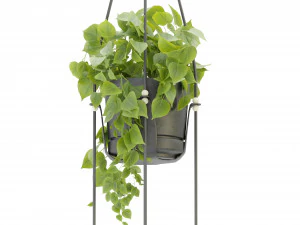 Collection Plant Vol 336 - Blender Model 3D Model