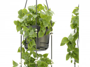 Collection Plant Vol 336 - Blender Model 3D Model