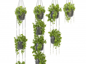 Collection Plant Vol 336 - Blender Model Model 3D