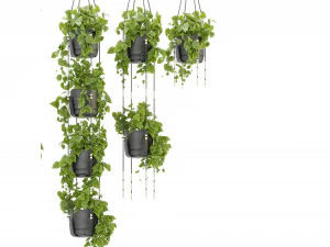 Collection Plant Vol 336 - Blender Model 3D Model