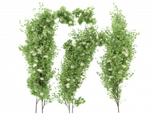 Collection Plant Vol 337 - Blender Model Modelo 3D