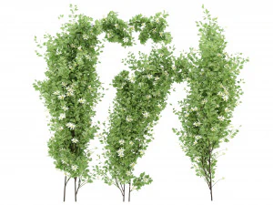 Collezione Plant Vol 337 - Modello Frullatore Modello 3D