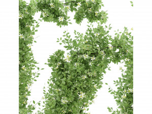 Collection Plant Vol 337 - Blender Model Modelo 3D