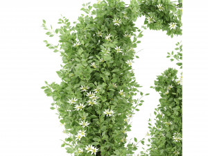 Collection Plant Vol 337 - Blender Model Modelo 3D
