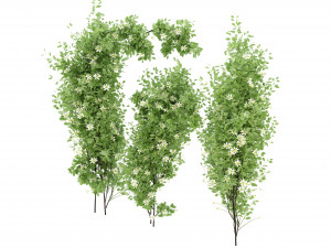 Collection Plant Vol 337 - Blender Model Modelo 3D