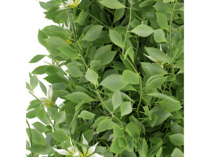 Collection Plant Vol 337 - Blender Model Modelo 3D