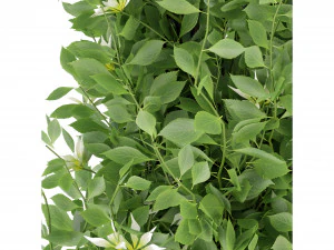 Collezione Plant Vol 337 - Modello Frullatore Modello 3D