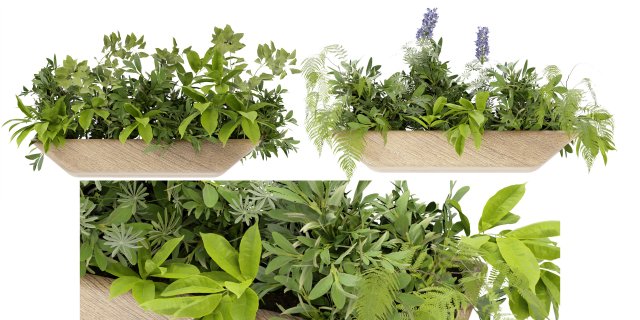 Collection Plant Vol 339 - Blender Model Model 3D .c4d .max .obj .3ds .fbx .stl .blend 