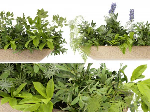 Planta de Cole&ccedil;&atilde;o Vol 339 - Modelo Blender Modelo 3D