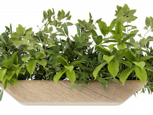 Collection Plant Vol 339 - Blender Model Model 3D