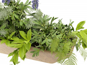 Collection Plant Vol 339 - Blender Model Model 3D