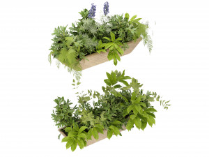 Collection Plant Vol 339 - Blender Model Model 3D