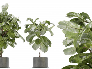 Collection Plant Vol 340 - Blender Model 3D Model