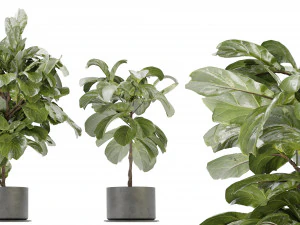 Collection Plant Vol 340 &ndash; Blender-Modell 3D Modell