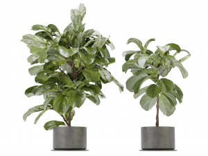 Collection Plant Vol 340 - Blender Model 3D 모델