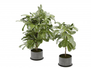 Collection Plant Vol 340 - Blender Model 3D 모델