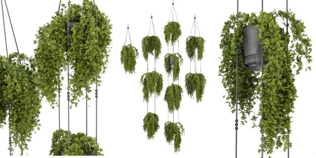 Collection Plant Vol 342 - Blender Model 3D Model .c4d .max .obj .3ds .fbx .stl .blend 