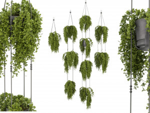 Collection Plant Vol 342 - Blender Model 3D मॉडल