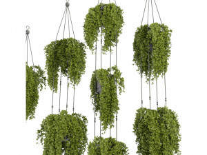 Collection Plant Vol 342 - Blender Model 3D Model