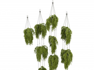 Collection Plant Vol 342 - Blender Model 3D Model