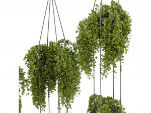 Collection Plant Vol 342 - Blender Model 3D Model