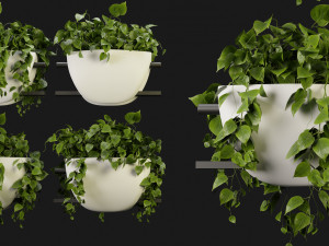 Collection Plant Vol 343 - Blender Model Model 3D