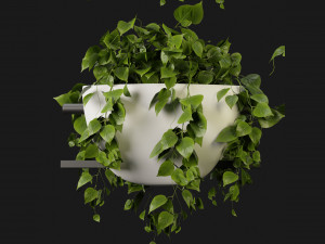 Collection Plant Vol 343 - Blender Model 3D 모델