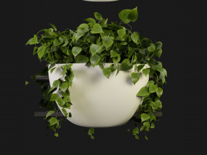Collection Plant Vol 343 - Blender Model 3D 모델