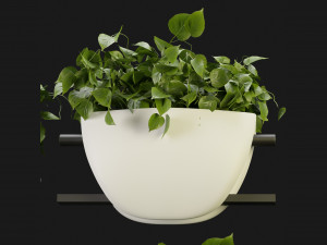 Collection Plant Vol 343 - Blender Model 3D 모델