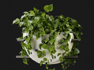Collection Plant Vol 343 - Blender Model 3D 모델