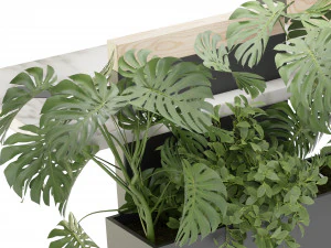 Collection Plant Vol 344 - Blender Model 3D Model