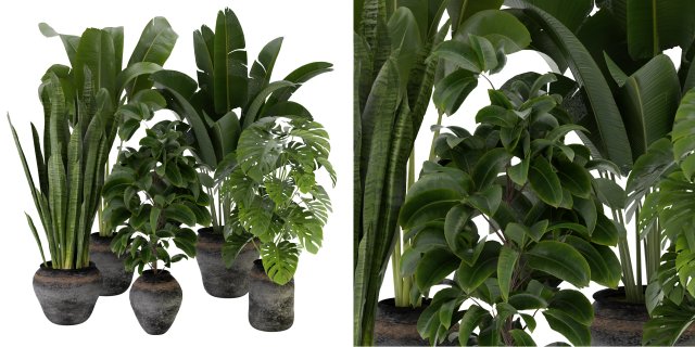 Collection Plant Vol 345 - Blender Model Model 3D .c4d .max .obj .3ds .fbx .stl .blend 