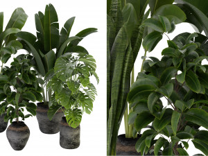 Collection Plant Vol 345 - Blender Model 3D Model
