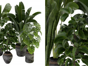 Collection Plant Vol 345 &ndash; Blender-Modell 3D Modell