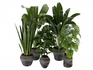 Collection Plant Vol 345 - Blender Model Model 3D