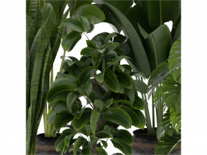 Collection Plant Vol 345 - Blender Model Model 3D