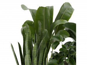 Collection Plant Vol 345 - Blender Model Model 3D