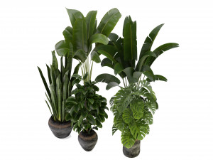 Collection Plant Vol 345 - Blender Model Model 3D