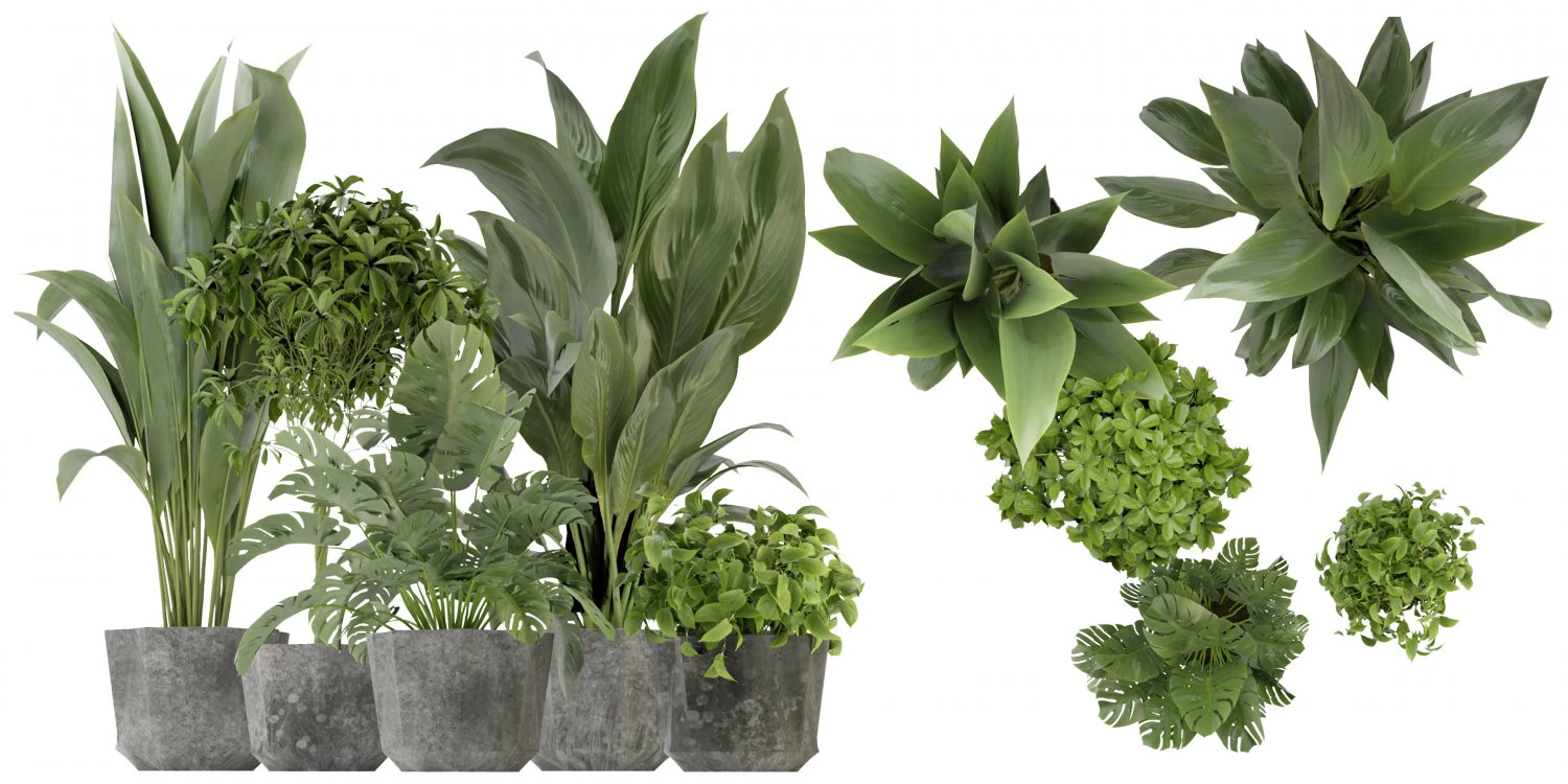 Collection Plant Vol 346 - Blender Model 3D Model .c4d .max .obj .3ds .fbx .stl .blend 
