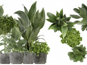 Collection Plant Vol 346 - Blender Model 3D Model