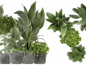 Collection Plant Vol 346 &ndash; Blender-Modell 3D Modell