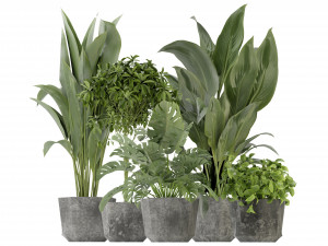 Collection Plant Vol 346 - Blender Model 3Dモデル