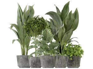 Collection Plant Vol 346 - Blender Model 3D Model