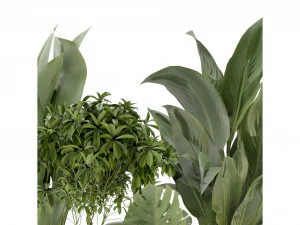 Collection Plant Vol 346 - Blender Model 3D Model