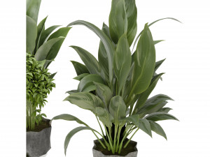 Collection Plant Vol 346 - Blender Model 3Dモデル