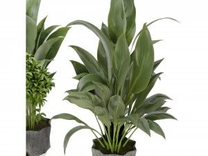 Collection Plant Vol 346 - Blender Model 3D Model