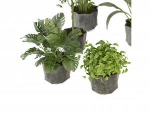 Collection Plant Vol 346 - Blender Model 3Dモデル
