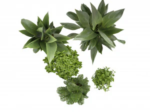 Collection Plant Vol 346 - Blender Model 3D Model