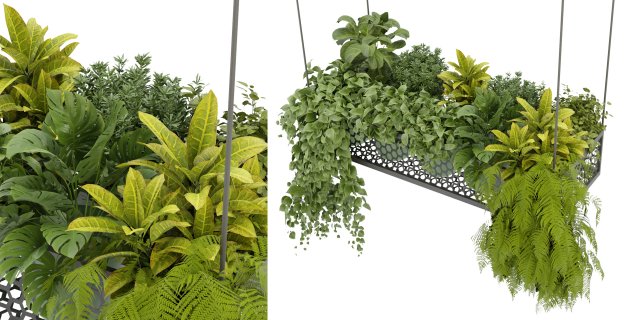 Collection Plant Vol 347 - Blender Model Model 3D .c4d .max .obj .3ds .fbx .stl .blend