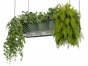 Collection Plant Vol 347 - Blender Model Model 3D